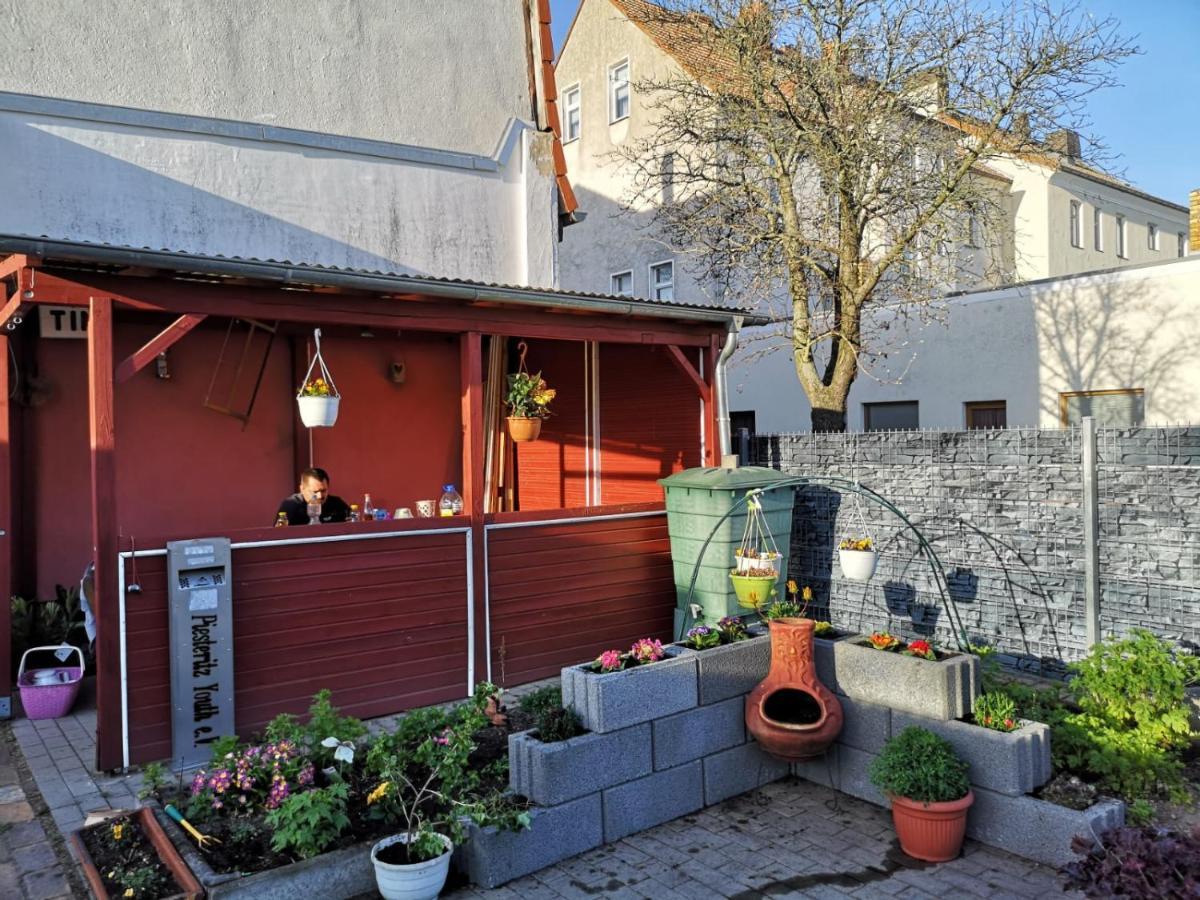Pension Zur Gartenstadt Wittenberg Exterior foto